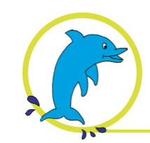 dolphin
