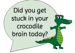 crocodile brain